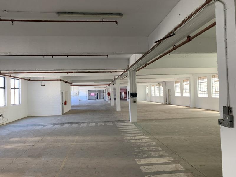 To Let commercial Property for Rent in Paarden Eiland Western Cape